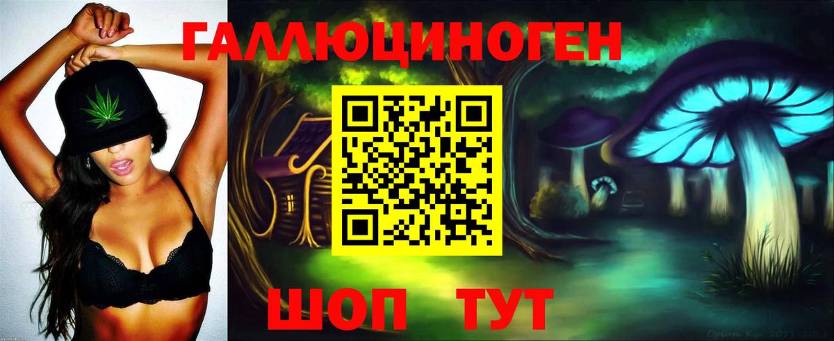 Рубцовск  Псилоцибиновые грибы GOLDEN TEACHER  Вход с VPN  Псилоцибиновые грибы Psilocybine cubensis 